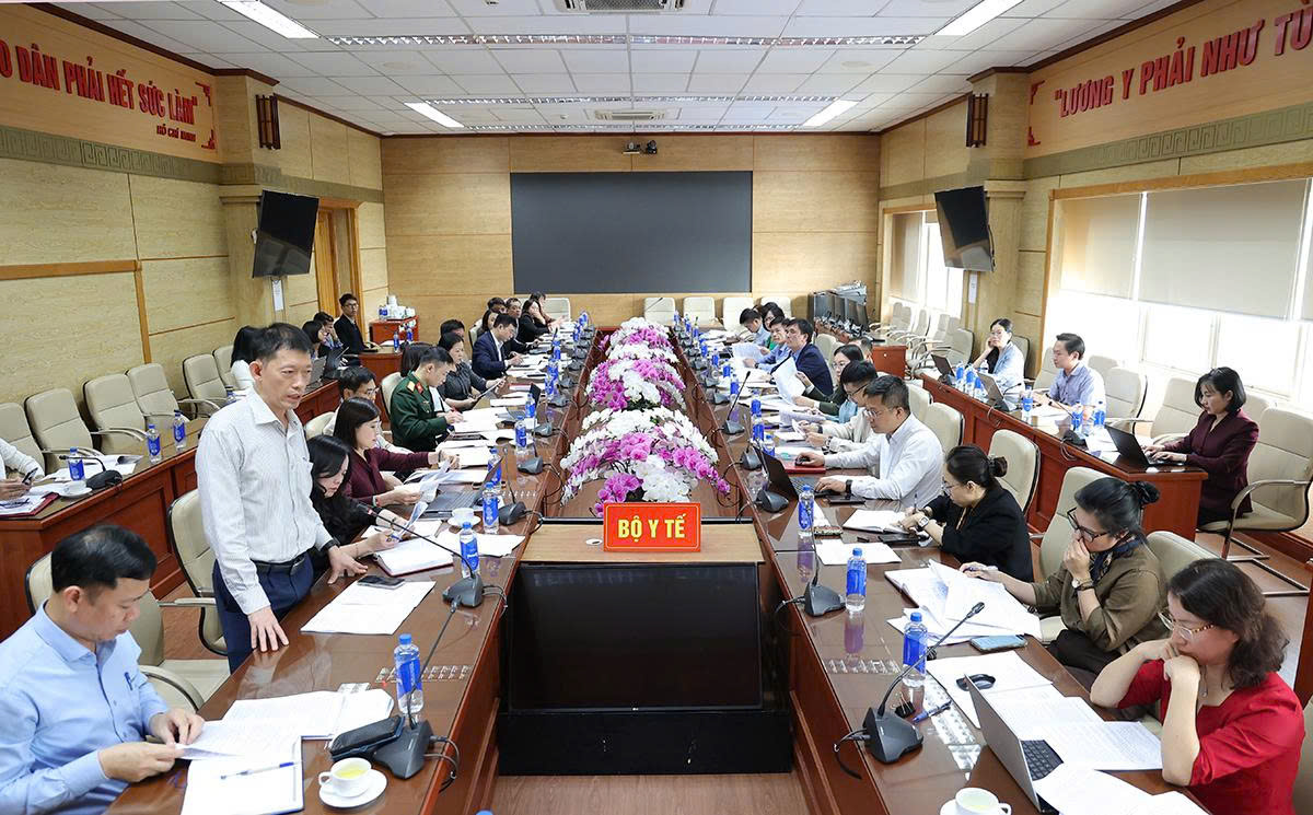 Thúc đẩy hoàn thiện hai dự thảo Nghị định về chế độ phụ cấp đối với nhân lực y tế- Ảnh 2.