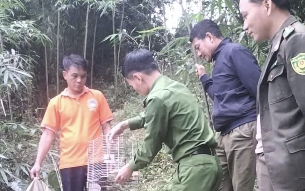 Tự ý bán đất góp chung, người đàn ông bị khởi tố vì chiếm đoạt hơn 1,4 tỷ đồng- Ảnh 2.