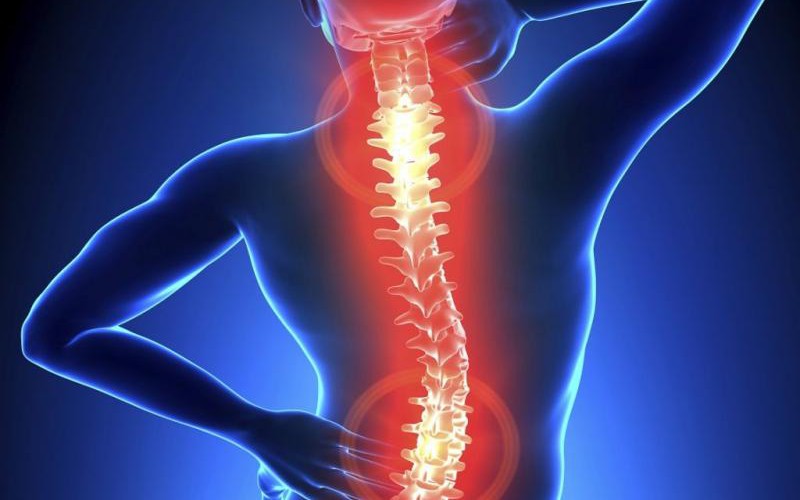 thoai hoa cot song 17733783931691483104391 139 0 639 800 crop 1773378520459547976420