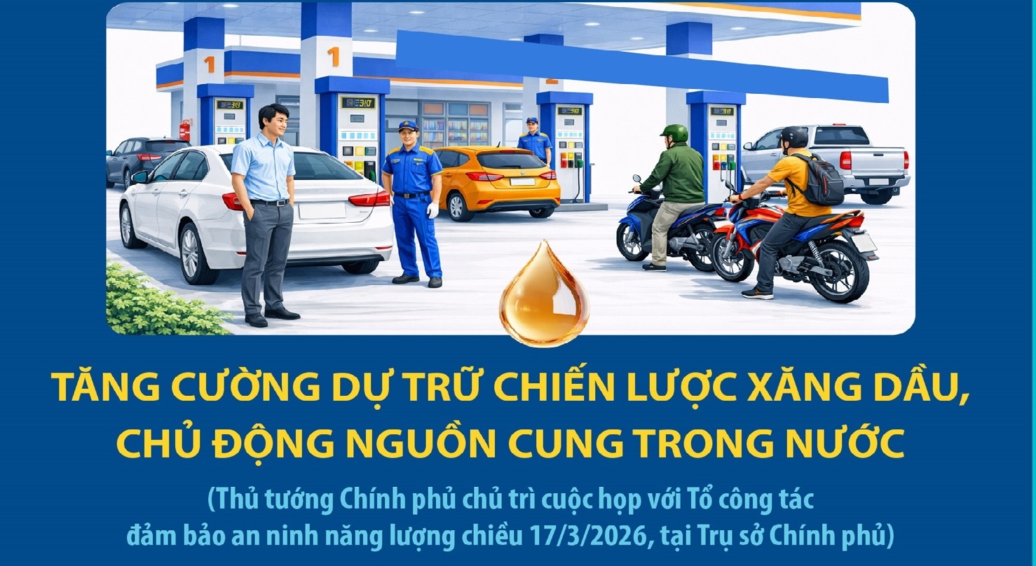 Giá xăng dầu biến động, Hà Nội ứng phó thế nào?- Ảnh 1.