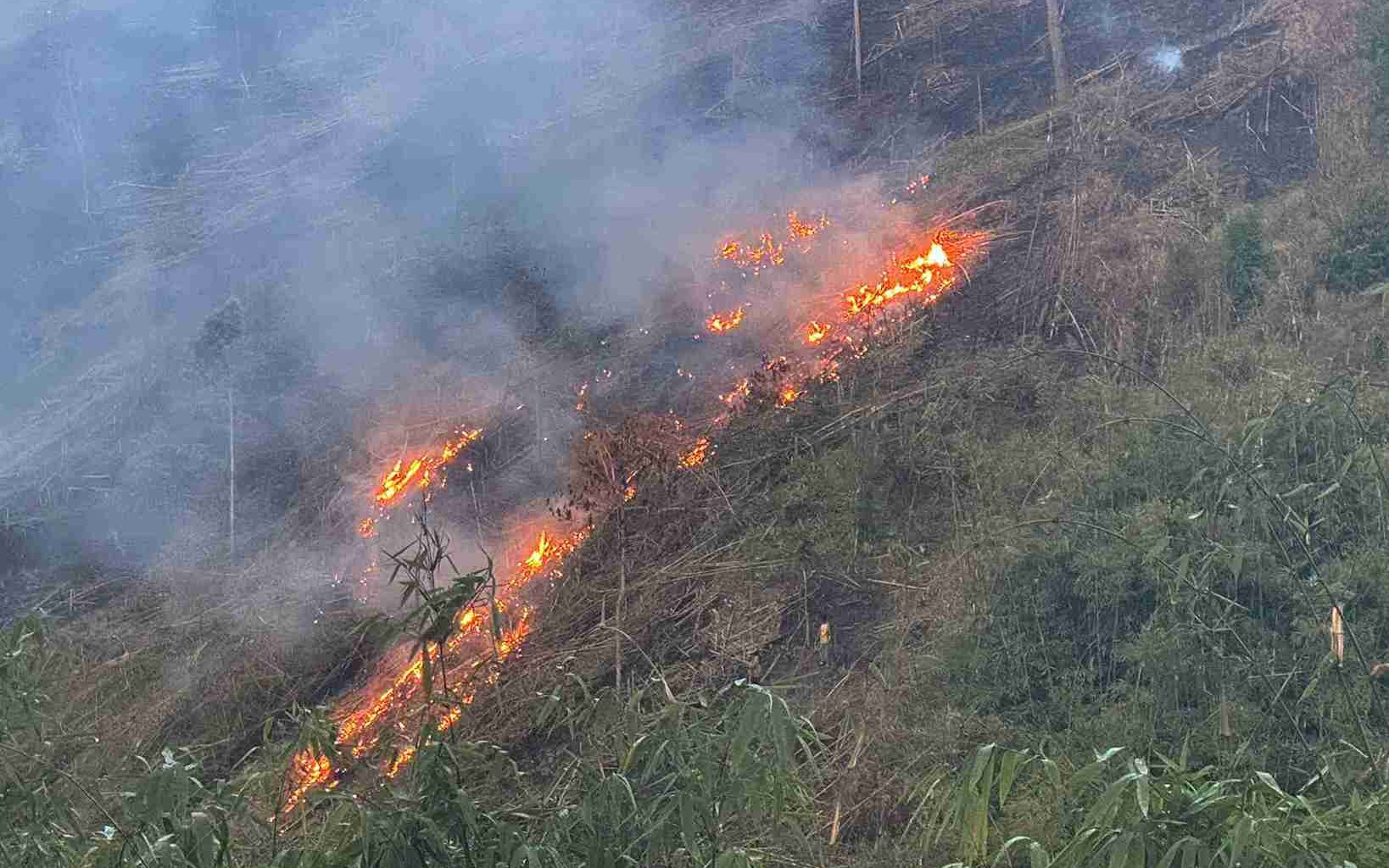 Tăng cường kiểm soát các khu vực có nguy cơ cháy rừng cao, không được để xảy ra cháy- Ảnh 2. Những nguyên tắc như "lá chắn thép" phòng chống cháy rừng