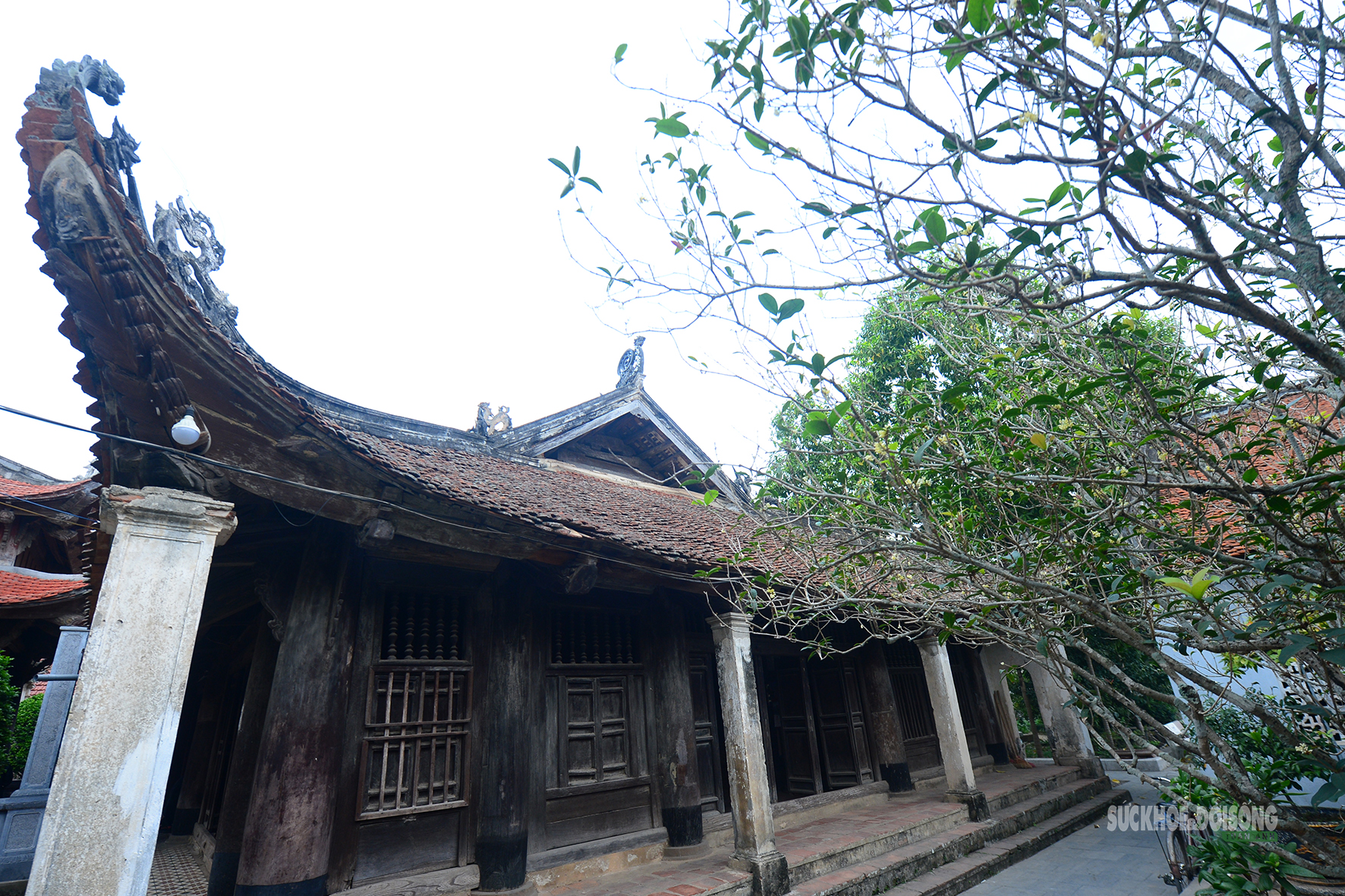 Ngôi đình cổ lưu giữ tinh hoa điêu khắc và ký ức Vua Hùng- Ảnh 8.