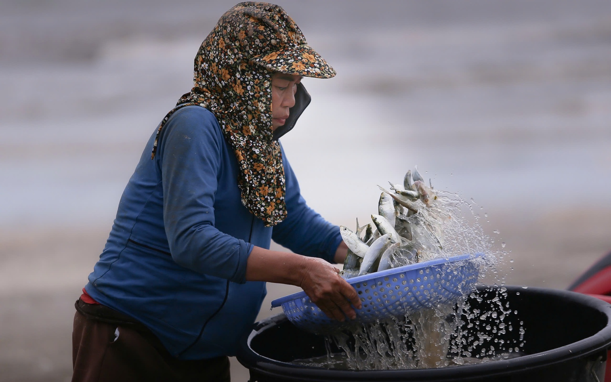 Cao điểm mùa khai thác sứa, ngư dân kiếm tiền triệu sau vài giờ ra khơi- Ảnh 2.
