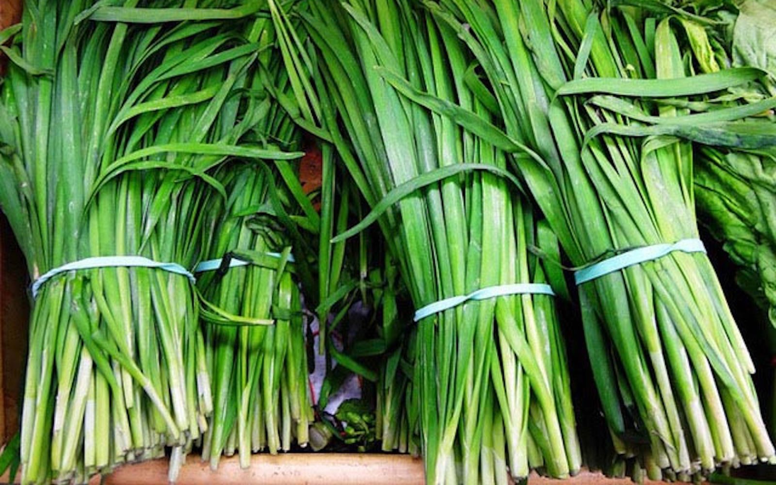 29 bài thuốc chữa bệnh từ cây rau hẹ- Ảnh 2. Tác dụng của rau hẹ với sức khỏe: Từ món ăn quen thuộc đến vị thuốc tự nhiên