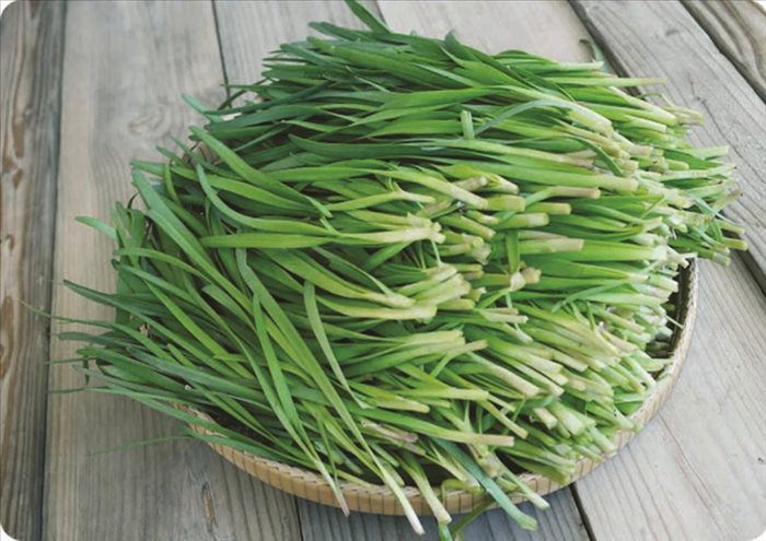 29 bài thuốc chữa bệnh từ cây rau hẹ- Ảnh 1. Bài thuốc từ lá hẹ | Dân tộc và Phát triển