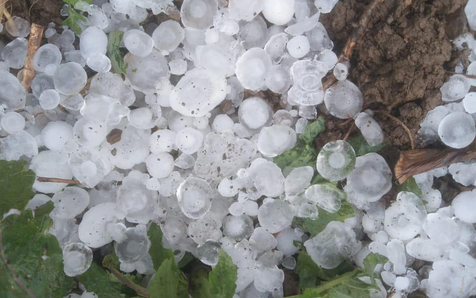 Phòng khả năng xuất hiện bão mạnh, rất mạnh và tăng cấp nhanh năm 2026- Ảnh 2.