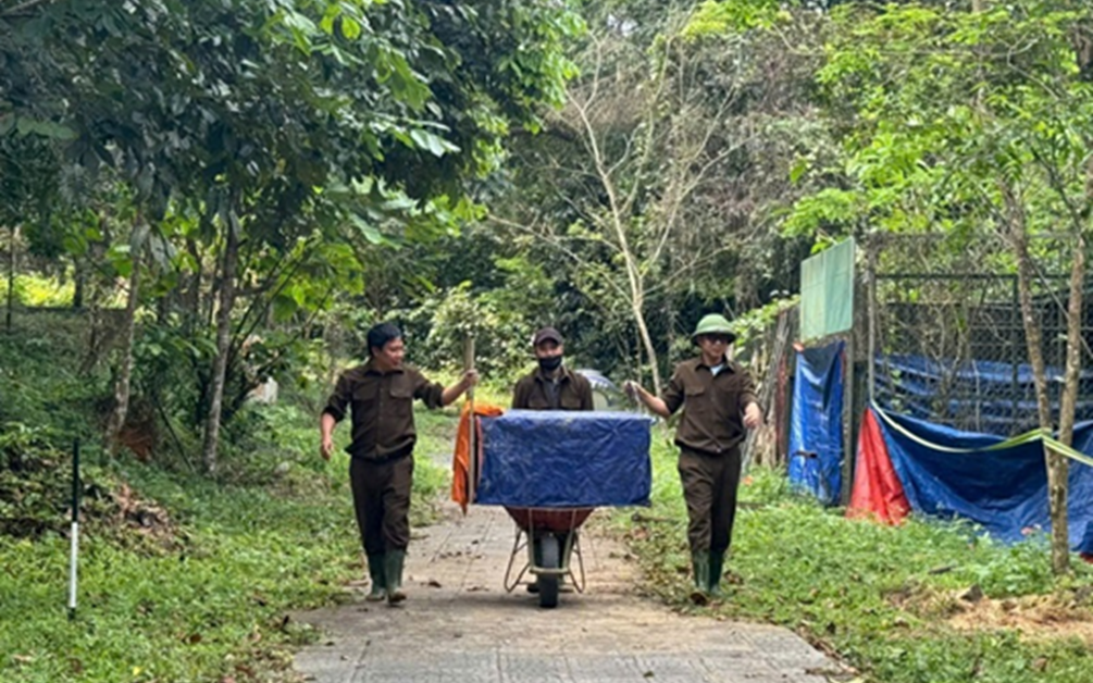 Đàn cò quý hiếm có tên trong Sách đỏ di cư về Quảng Trị kiếm ăn- Ảnh 2. Cận cảnh nhiều động vật hoang dã quý hiếm về lại rừng già