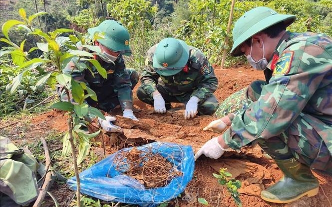 Phó Thủ tướng phát động Chiến dịch 500 ngày đêm tìm kiếm, xác định danh tính liệt sĩ- Ảnh 5.