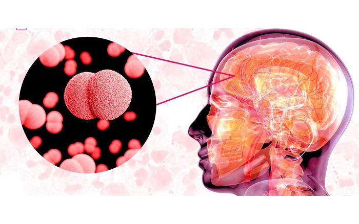 thumb viem nao mo cau 17743499713401007870920 17743499739462145658164