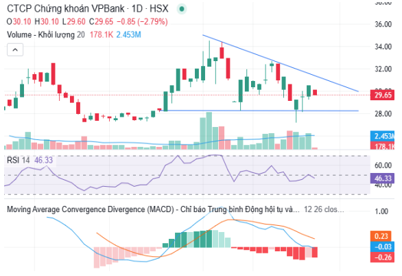 VCBS đặt giá mục tiêu 31.5 cho cổ phiếu VPX- Ảnh 2.