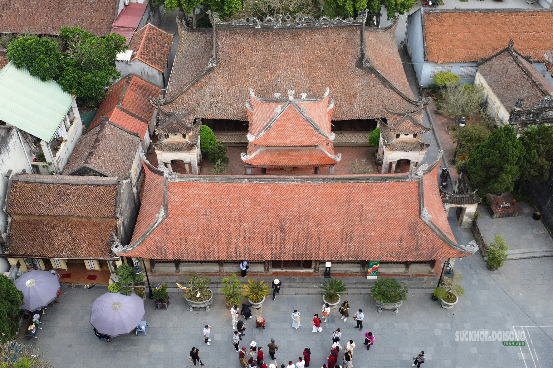 Hồn Xoan sống mãi trên quê hương Đất Tổ- Ảnh 1.