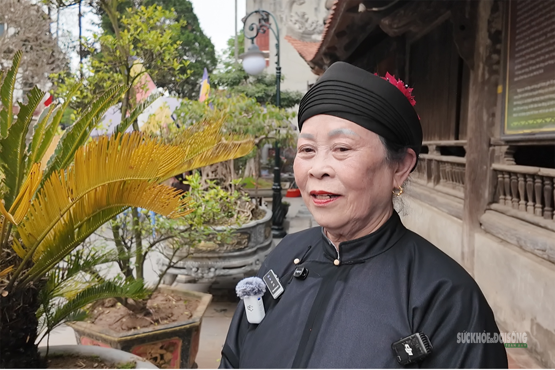 Hồn Xoan sống mãi trên quê hương Đất Tổ- Ảnh 5.