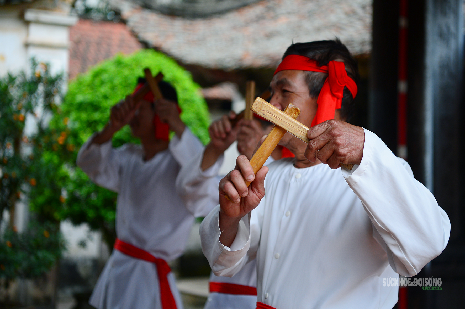 Hồn Xoan sống mãi trên quê hương Đất Tổ- Ảnh 9.