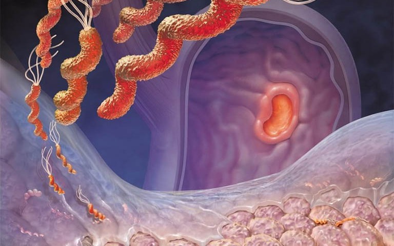 viem loet da day ta trang 1774611494240809205477 36 0 516 768 crop 1774611728791383446094