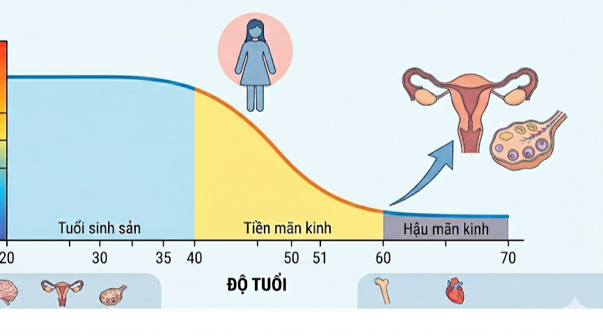 Lý do chị em cần lắng nghe 'bản đồ' nội tiết- Ảnh 2. Lý do chị em cần lắng nghe 'bản đồ' nội tiết- Ảnh 2.