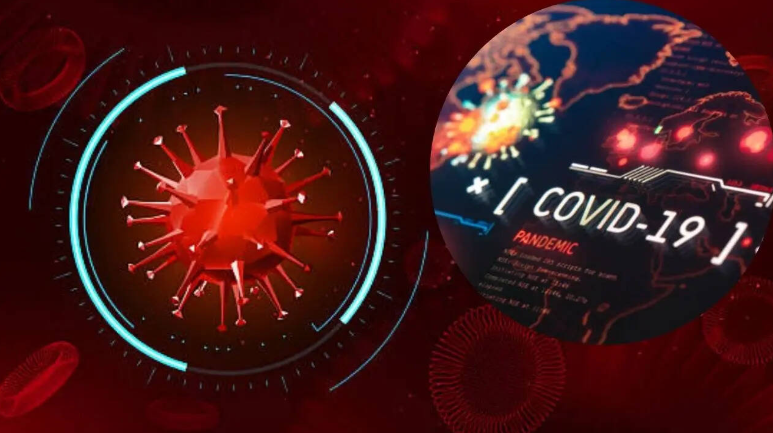 Bộ Y tế thông tin mới nhất về biến thể 've sầu' của COVID-19- Ảnh 1. Bộ Y tế thông tin mới nhất về biến thể 've sầu' của COVID-19- Ảnh 1.