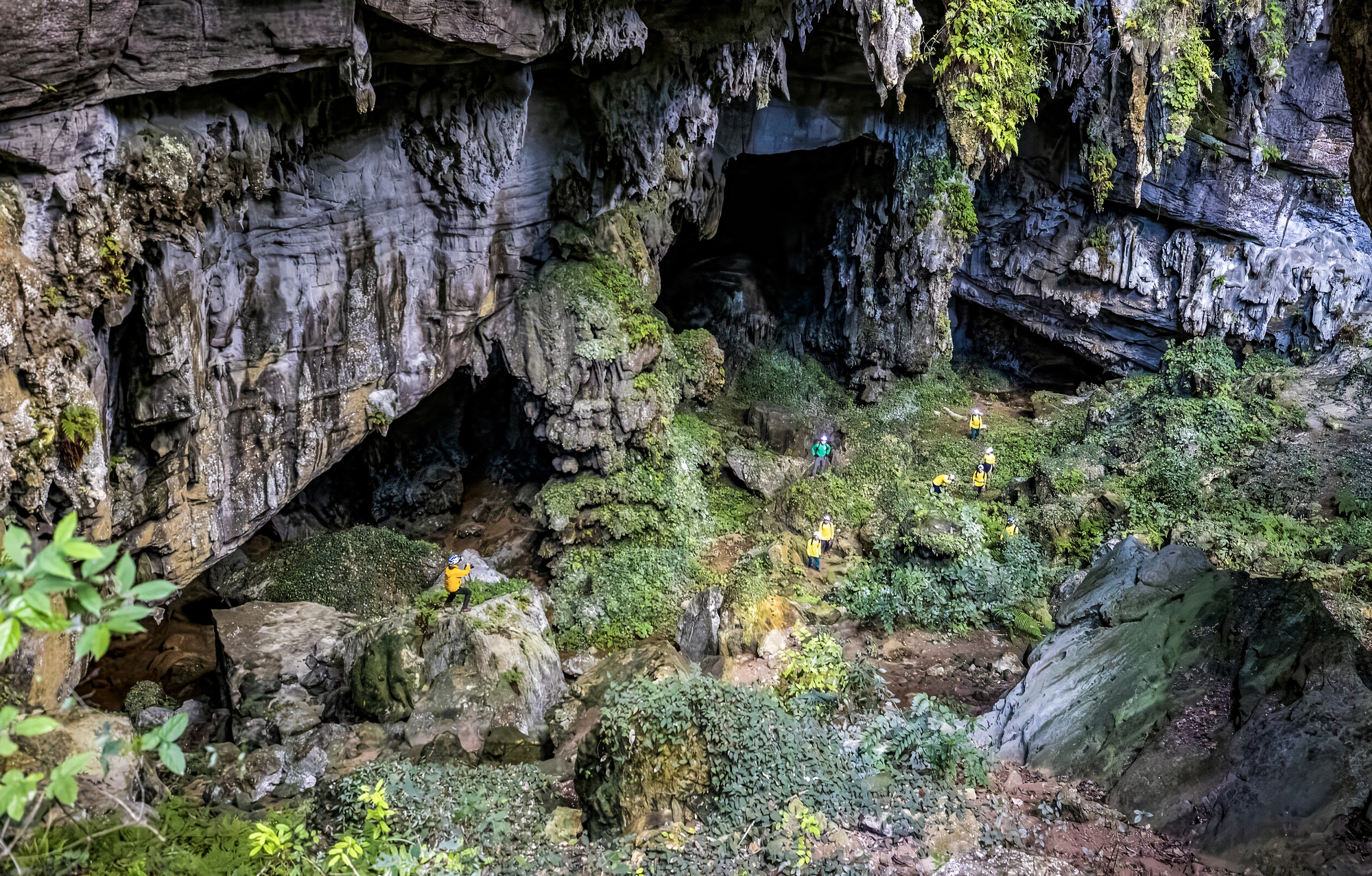 Bí ẩn hang động lưu dấu tích tộc người Arem và rừng cổ quý hiếm- Ảnh 3.