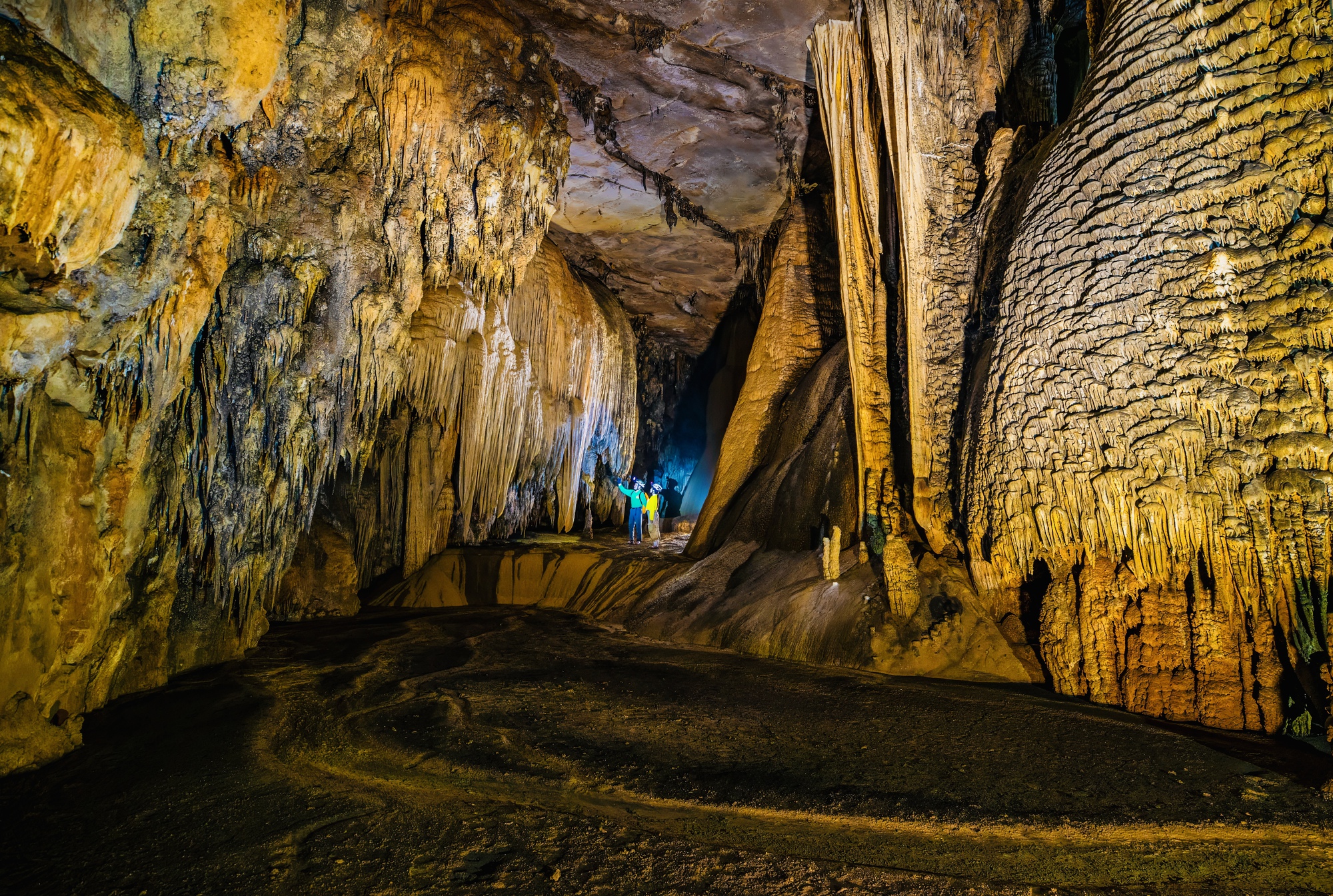 Bí ẩn hang động lưu dấu tích tộc người Arem và rừng cổ quý hiếm- Ảnh 4.