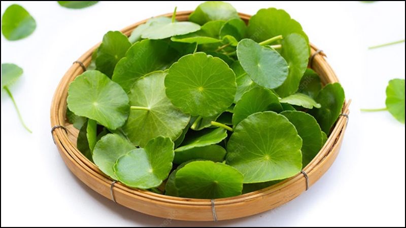 'Bài thuốc' chăm sóc da nổi mụn, sạm nám mùa lễ hội- Ảnh 2.