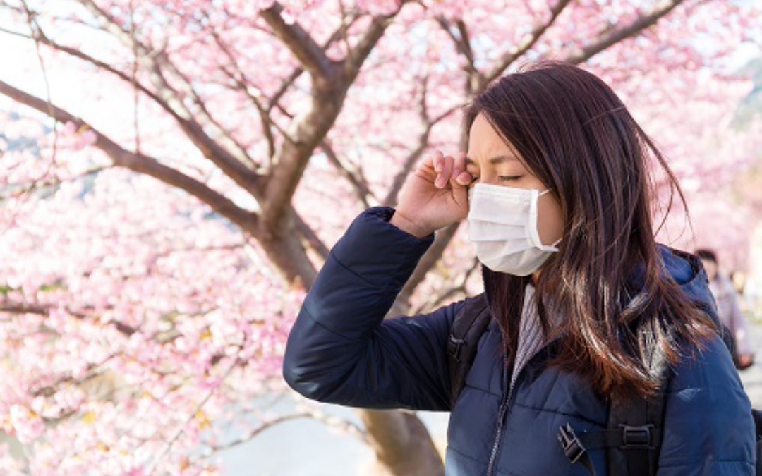 viem ket mac mua xuan 1772513615115658530534 20 0 695 1080 crop 1772513838416131513465