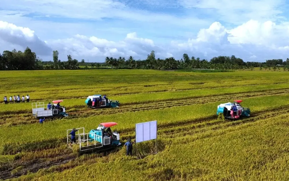 Doanh nghiệp, hiệp hội chung tay giữ nhịp sản xuất nông nghiệp
