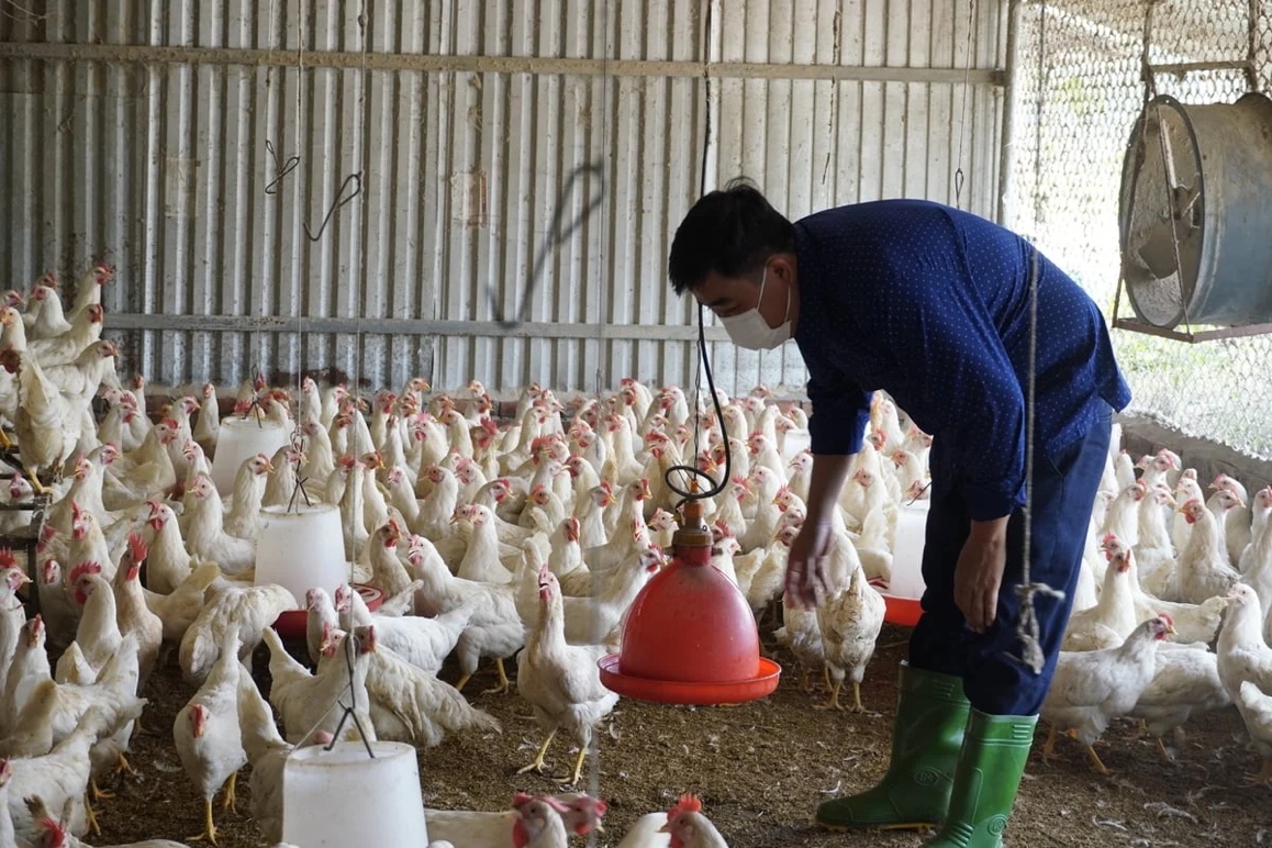 Doanh nghiệp, hiệp hội chung tay giữ nhịp sản xuất nông nghiệp- Ảnh 4.