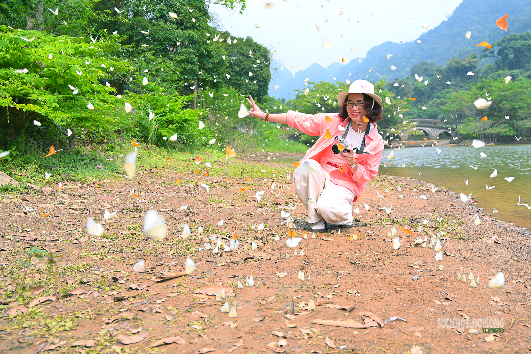 Mùa bướm ở Cúc Phương đến sớm, hút khách tham quan- Ảnh 8.