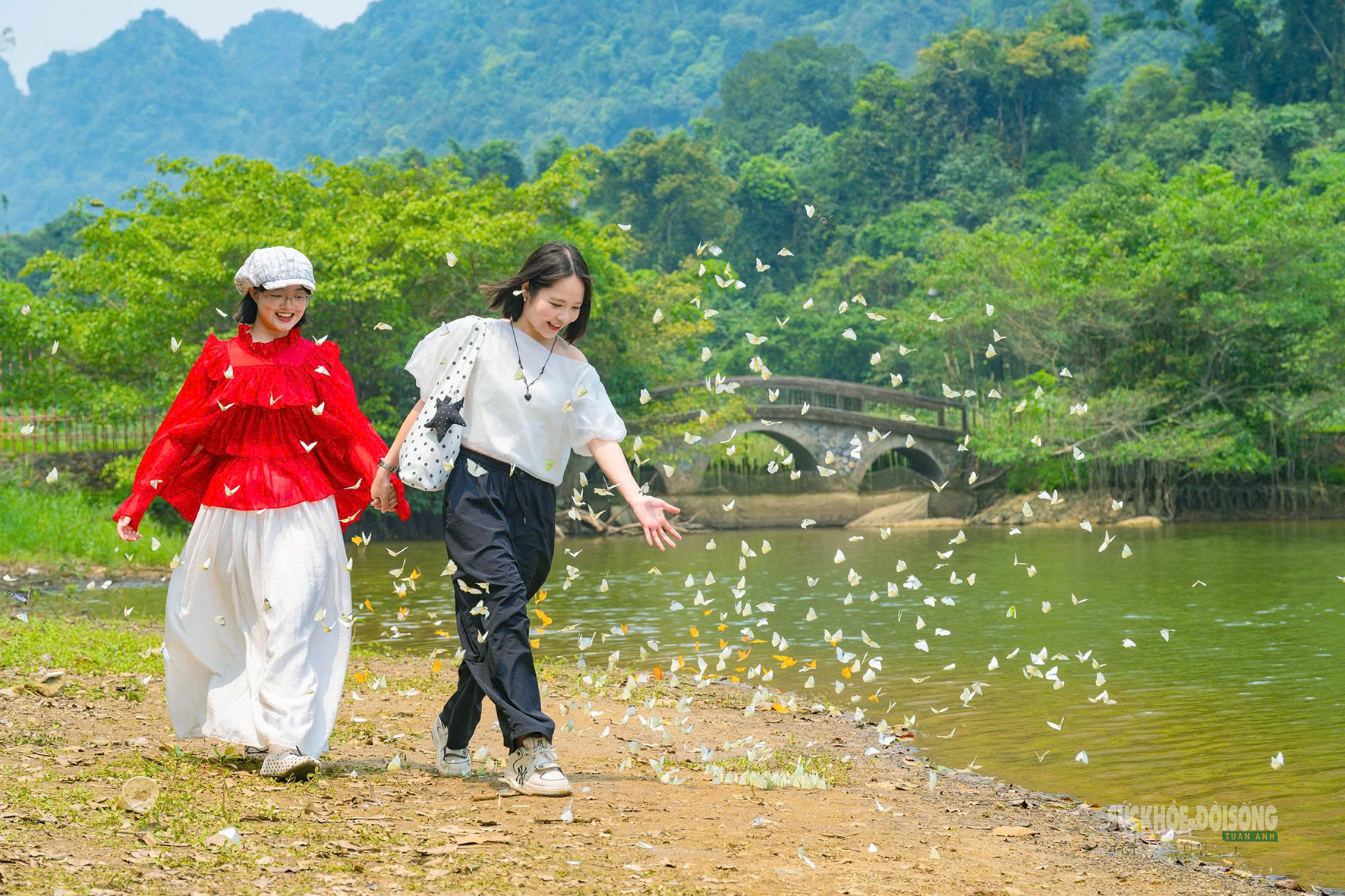 Mùa bướm ở Cúc Phương đến sớm, hút khách tham quan- Ảnh 1.