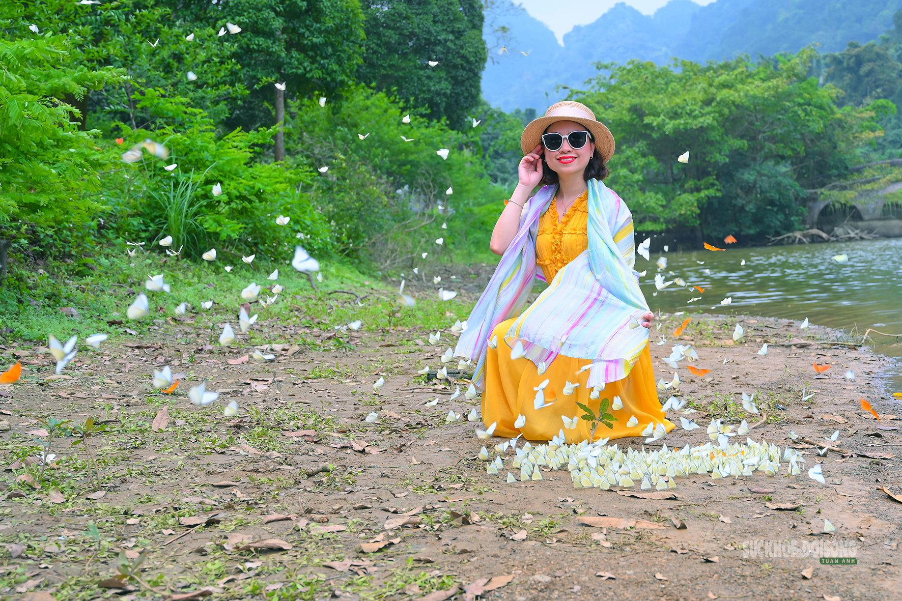 Mùa bướm ở Cúc Phương đến sớm, hút khách tham quan- Ảnh 7.