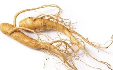 photo 1774954390875 17749543914991301848408 0 0 247 395 crop 17749544933369101121