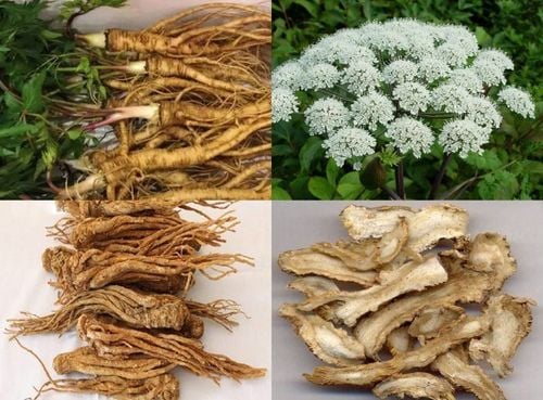 3 gyógynövényes főzet pattanások kezelésére - 1. kép. 3 bài thuốc sắc trị mụn trứng cá- Ảnh 1.