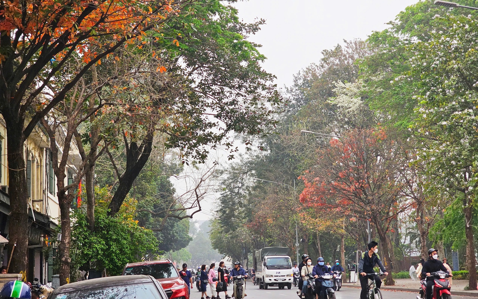 Miền Bắc sương mù vào sáng sớm, nắng mạnh vào trưa chiều