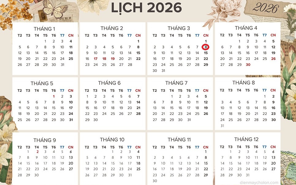 Tử vi 12 con giáp hôm nay 8/3: Mão êm đềm, Tị công việc may mắn- Ảnh 3.