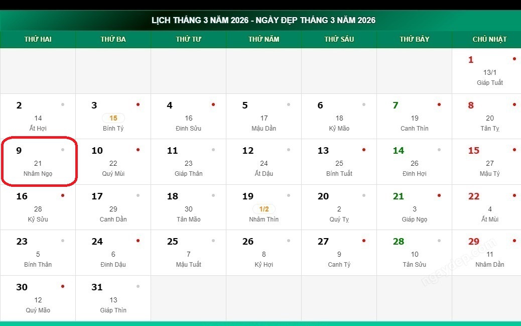 Tử vi 12 con giáp hôm nay 9/3: Tị hanh thông, Dần khởi sắc rõ rệt- Ảnh 3.