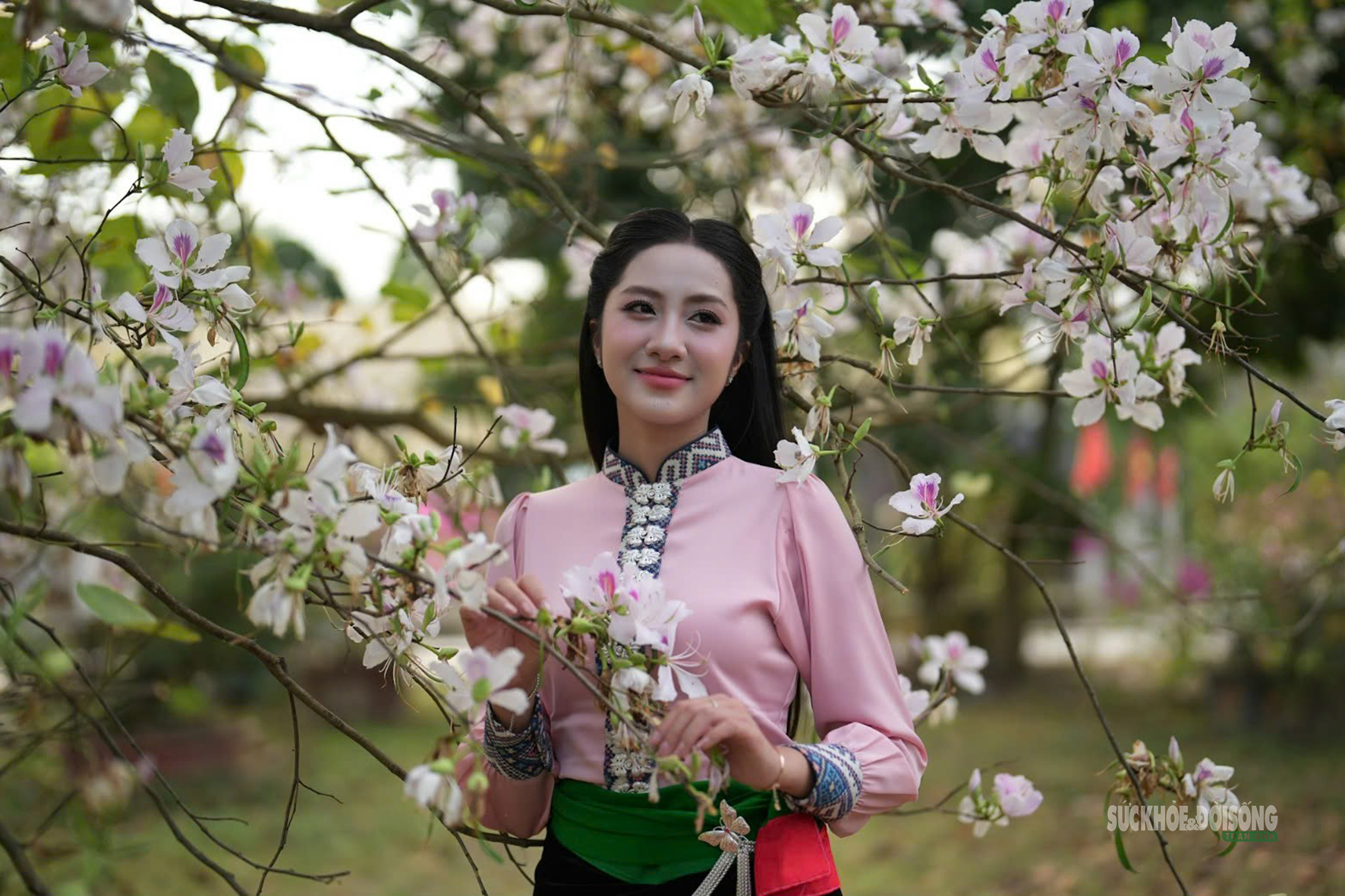 Tháng 3 Điện Biên, hoa ban nở trắng miền lịch sử- Ảnh 5.