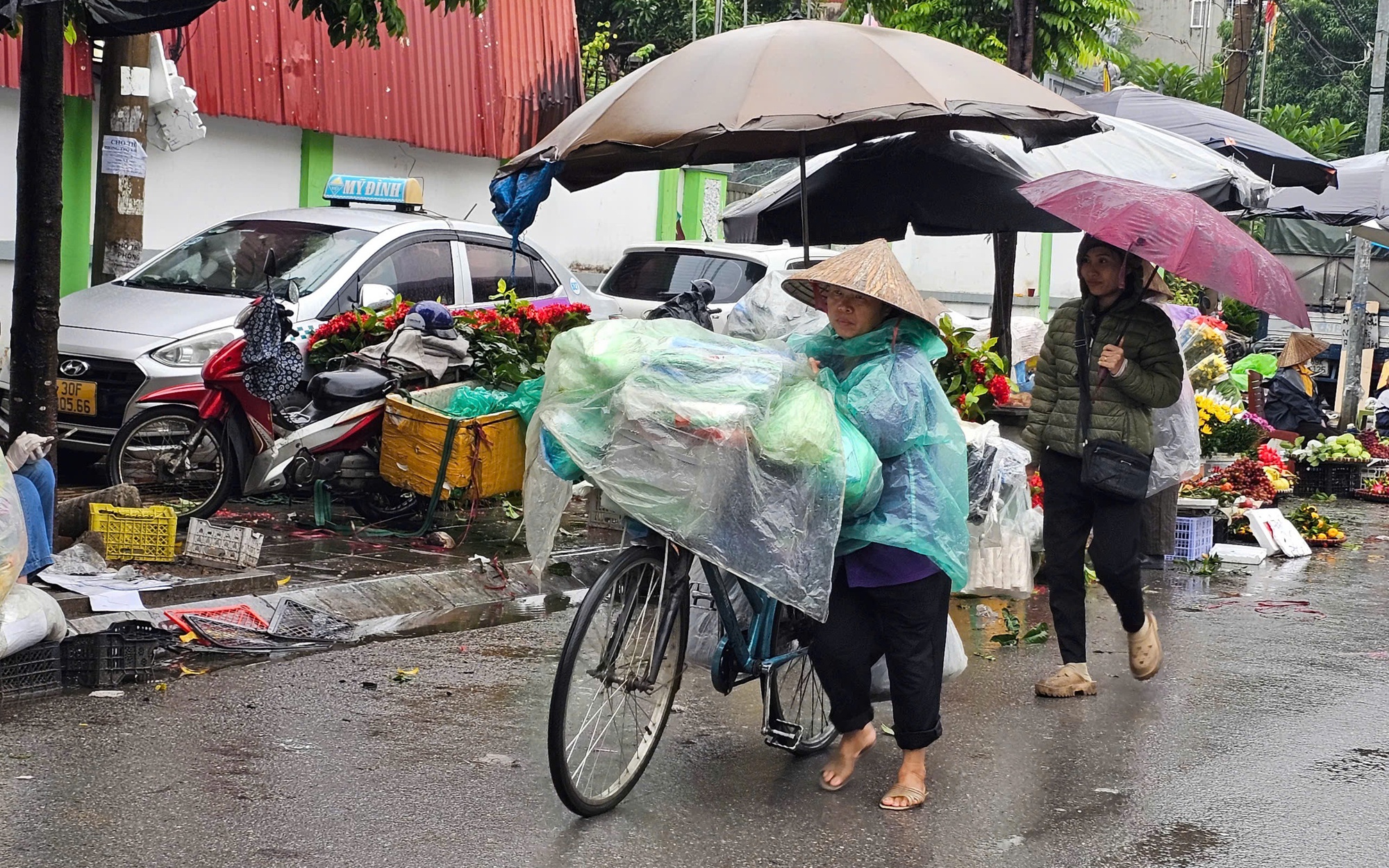 Vì sao mùa đông năm nay ít có các đợt rét đậm rét hại kéo dài?
