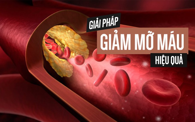 Thực phẩm tốt cho người mỡ máu cao