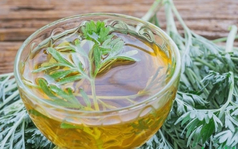 3 cách sử dụng ngải cứu làm sáng da hiệu quả tại nhà- Ảnh 2.