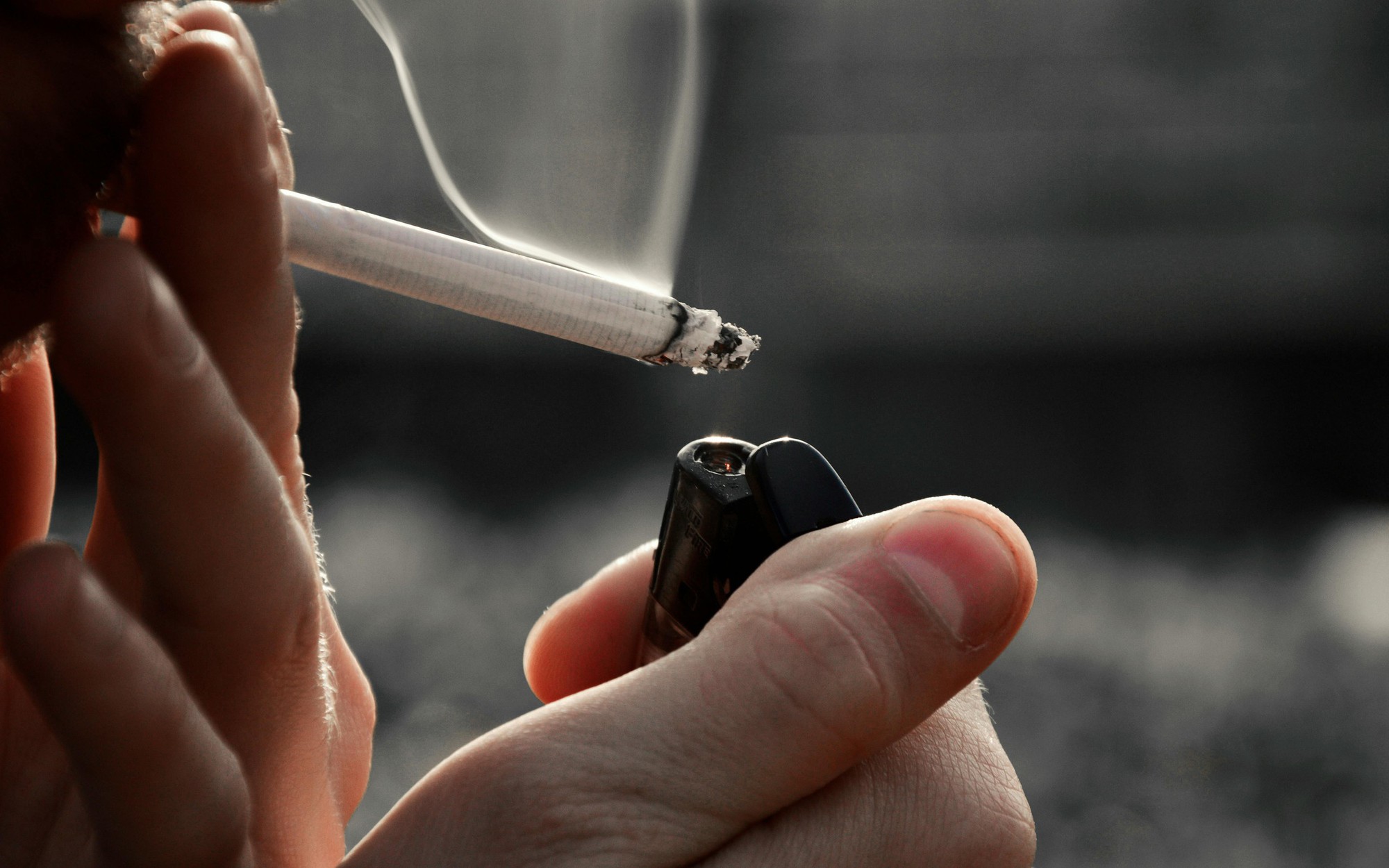 Hút thuốc lá và cần sa có thể gây 'teo não'