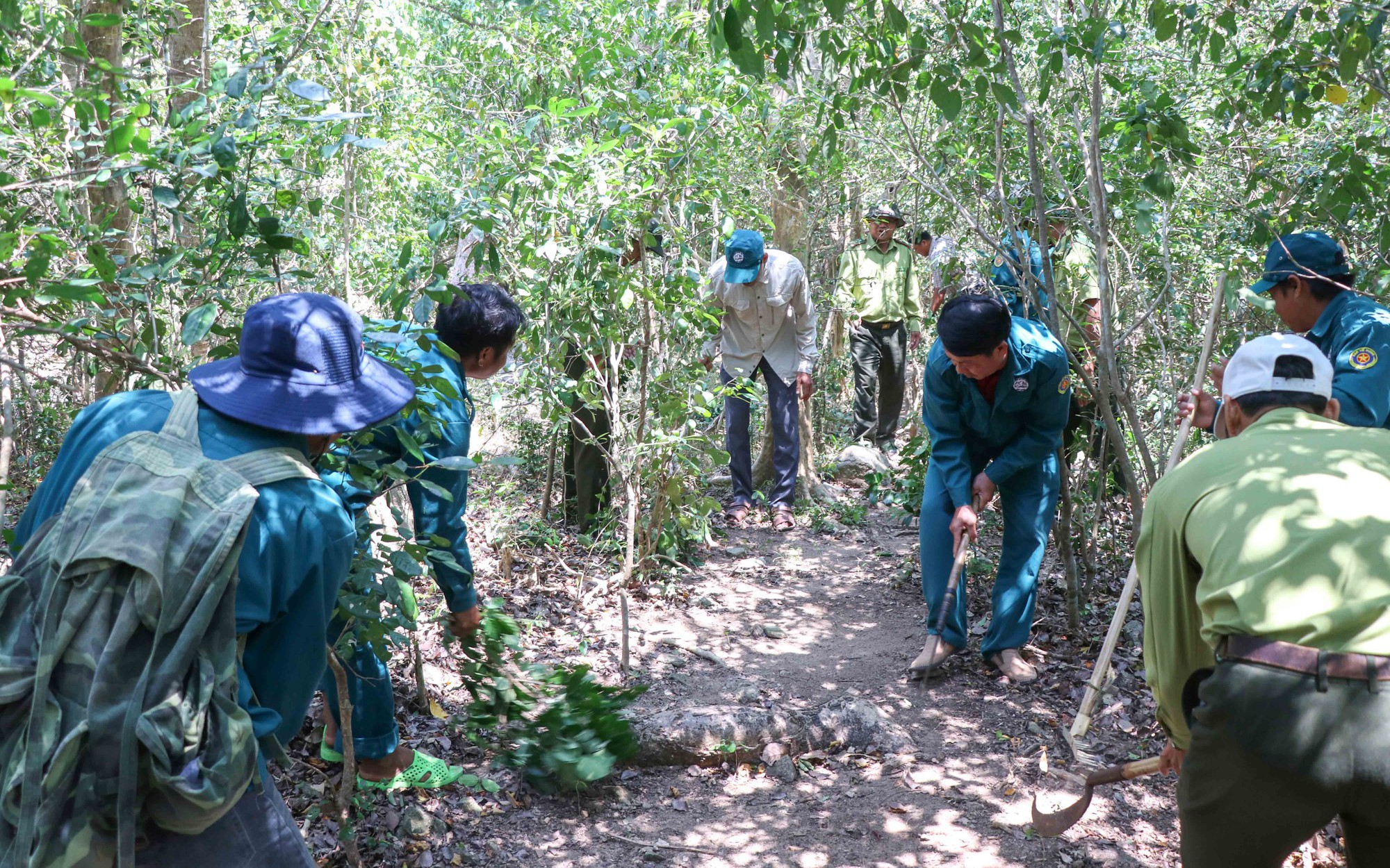 Khánh Hòa bảo vệ ‘lá phổi xanh’, phòng chống cháy rừng cấp 5