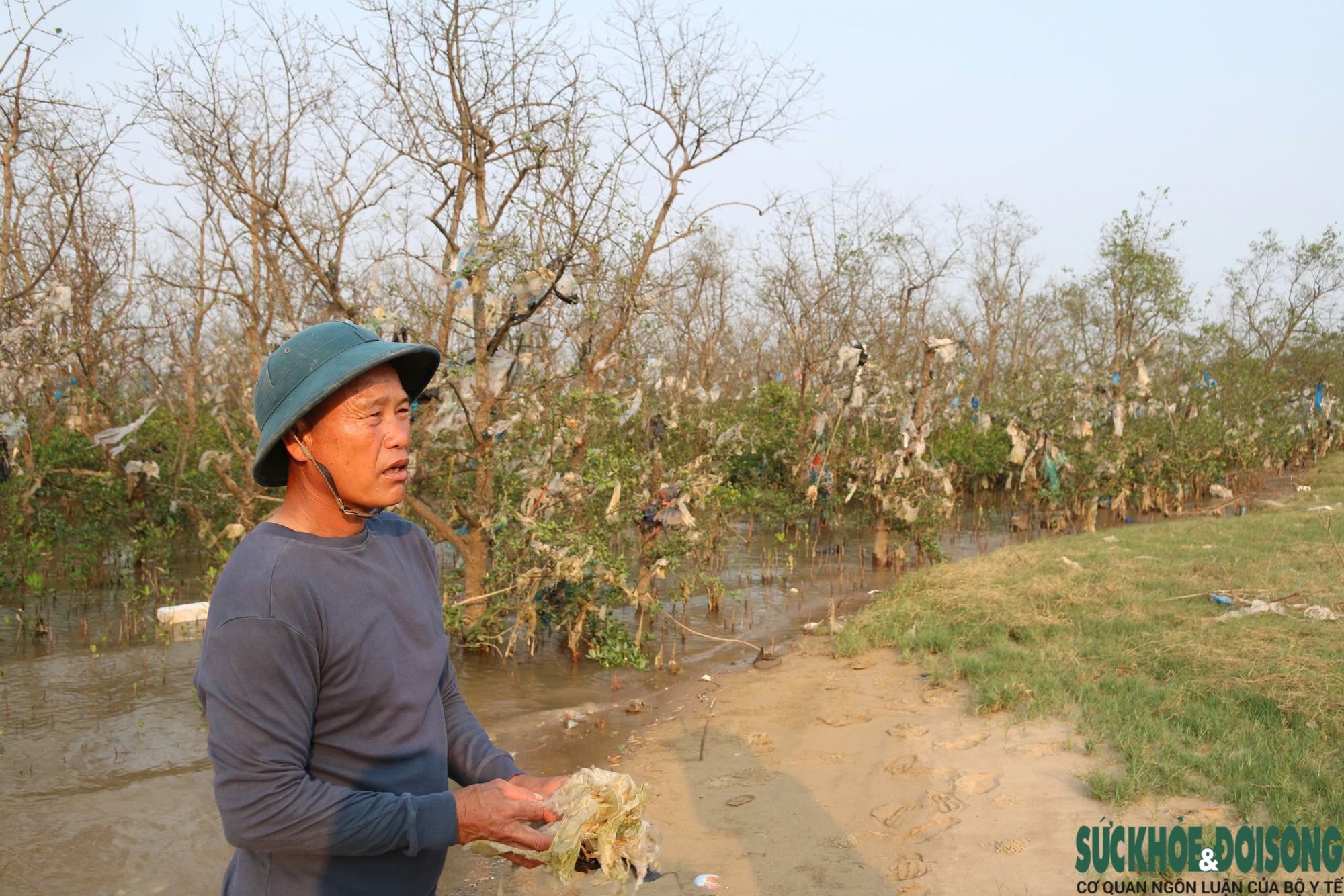 Rừng bần nguyên sinh ven sông Lam 'nghẹt thở' trong rác thải- Ảnh 11.