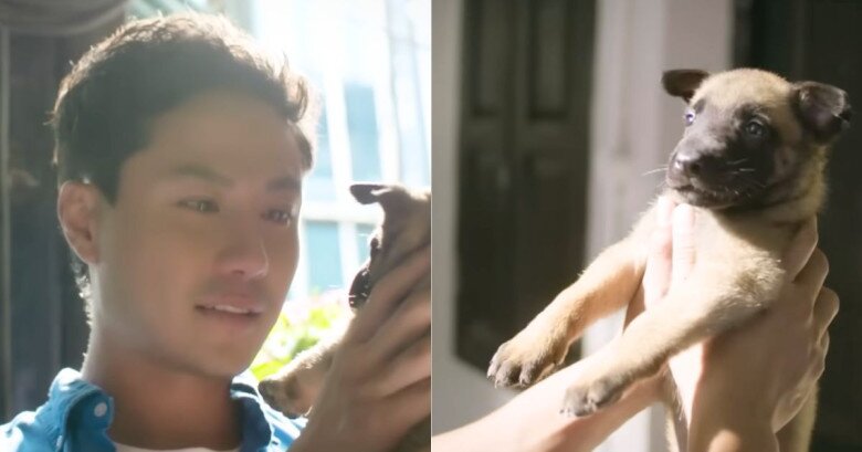 Cái kết đẹp cho Thanh Sơn và Hoàng Hà, khán giả bật khóc cầu mong một điều- Ảnh 12.