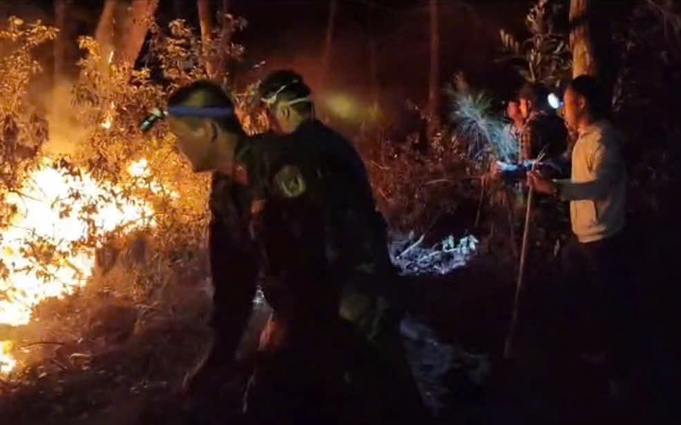 Nắng nóng gay gắt, liên tiếp xảy ra cháy rừng ở Nghệ An