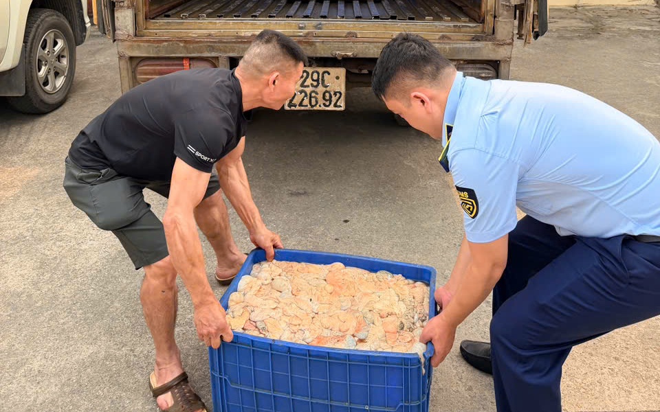 Gần nửa tấn bì lợn, mỡ lợn ôi thiu được phát hiện trong xe ô tô- Ảnh 2. Gần nửa tấn bì lợn, mỡ lợn ôi thiu được phát hiện trong xe ô tô- Ảnh 2.