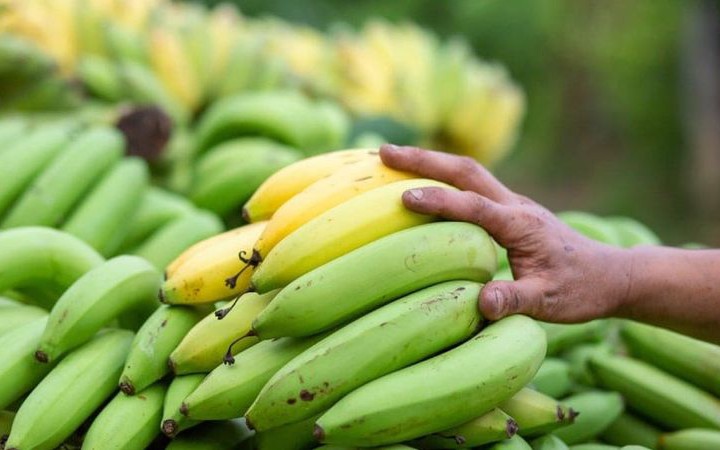 Chuối chín hay chuối xanh tốt hơn cho giảm mỡ?