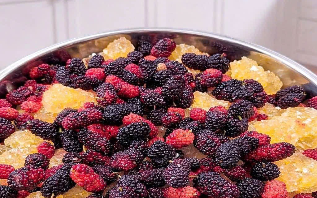 5 biến tấu món ăn ngon miệng từ quả dâu tằm- Ảnh 4. Dâu tằm ngâm nổi váng: Độc tố cần loại bỏ hay chỉ hớt váng là được?