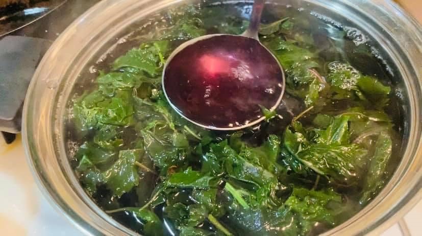 4 cách nấu nước lá tía tô hỗ trợ giảm cân, đẹp da và tốt cho sức khỏe- Ảnh 2.