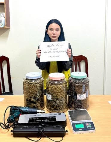 Thu hơn 2,6kg cần sa tại nhà Nguyễn Yến Vy- Ảnh 1.