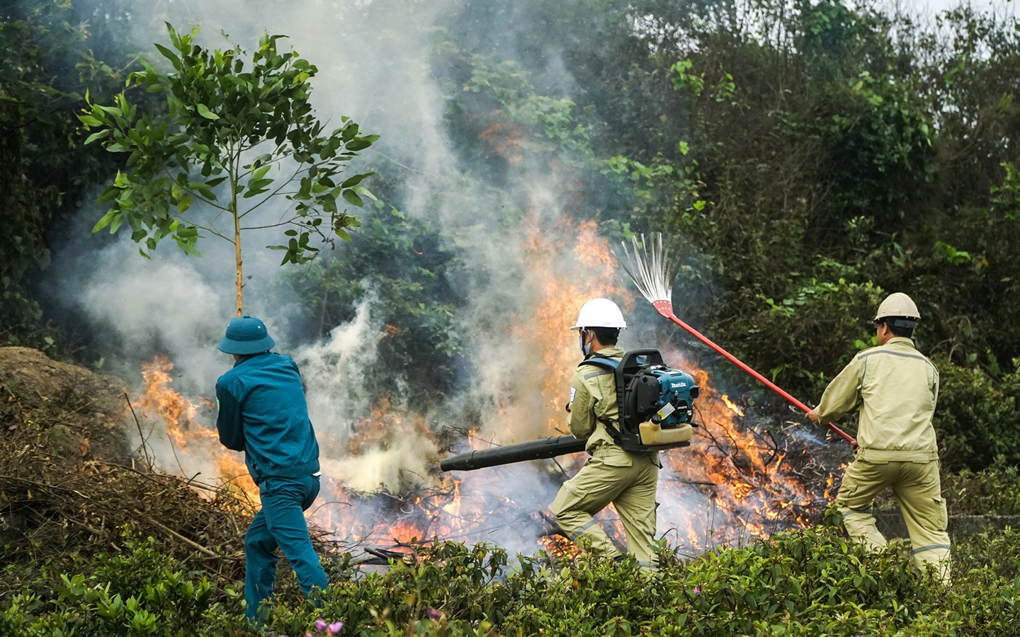 Cháy chung cư trên phố Vương Thừa Vũ Hà Nội - Ảnh 1. Nắng nóng, cảnh báo cháy rừng mức cao nhất ở nhiều khu vực