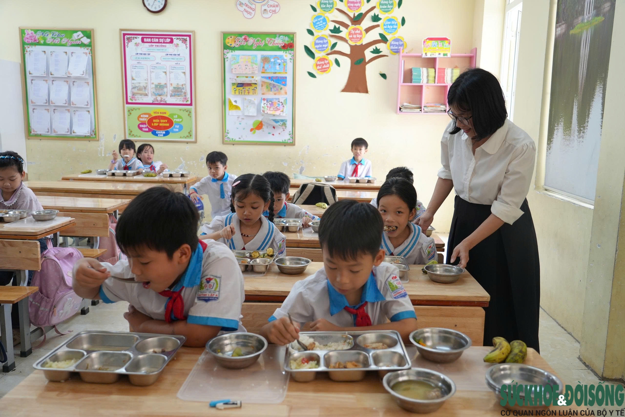 Phụ huynh thấp thỏm sau những bữa 'cơm hộp' ở trường- Ảnh 2.